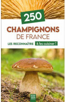 250 champignons de france